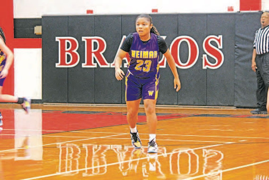 Ladycats on the prowl for the 2025 season