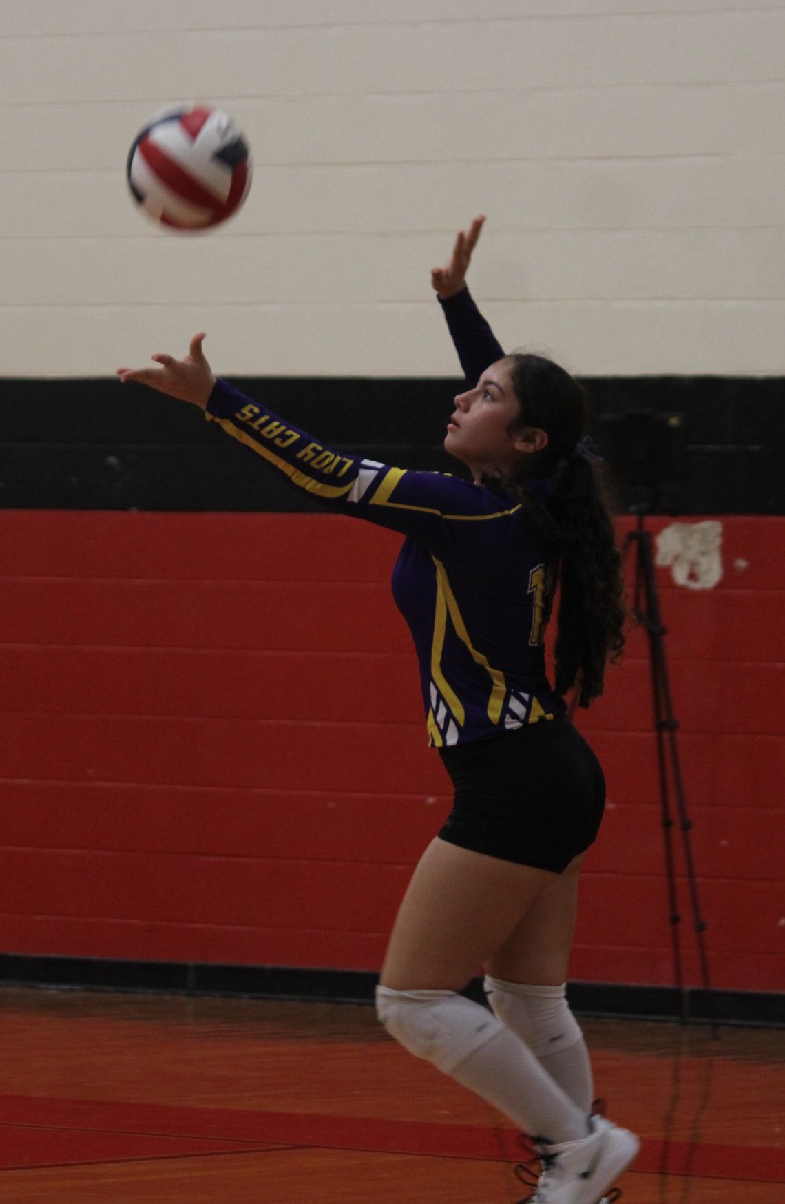 Ladycats pick up a win and a loss over last two games Ladycats pick up a win and a loss over last two games