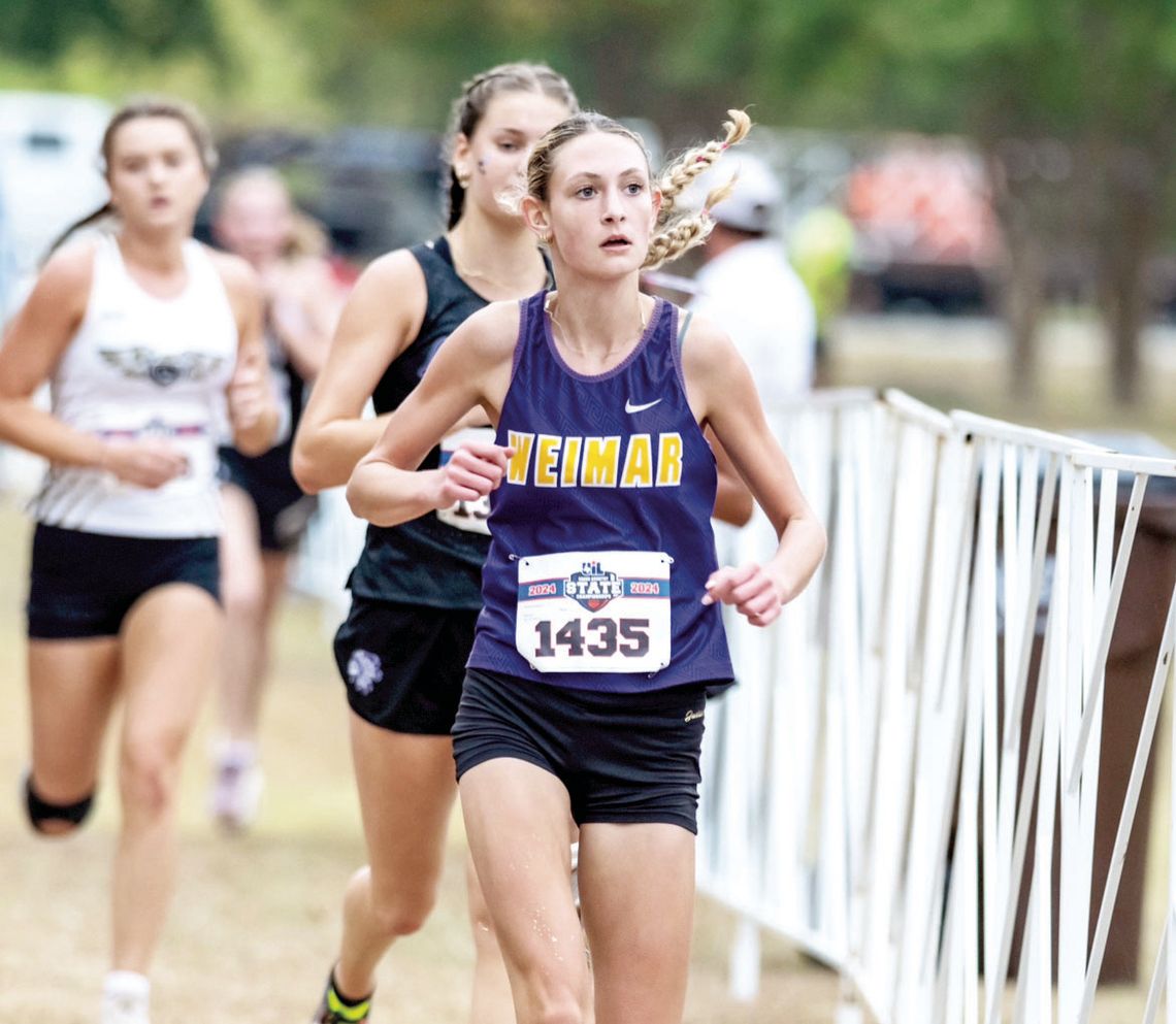 Ladycats State Meet Results