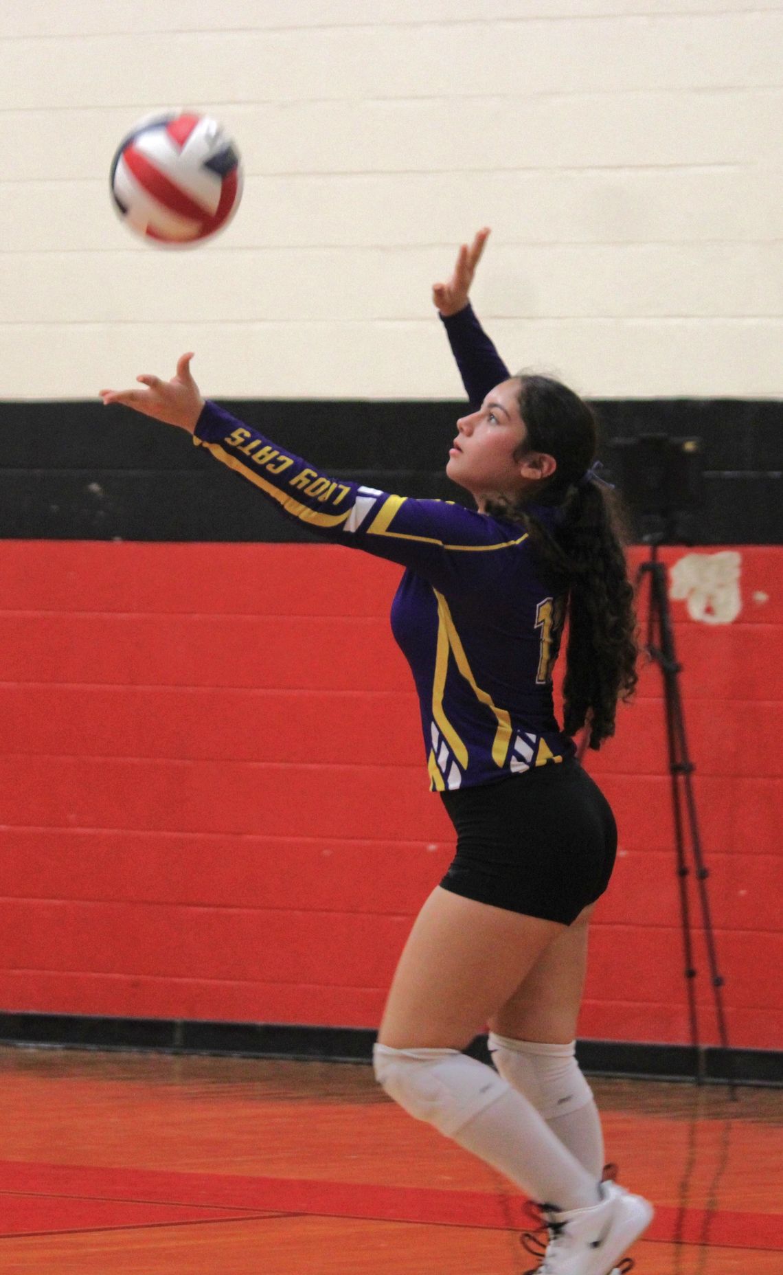 Ladycats sweep Louise