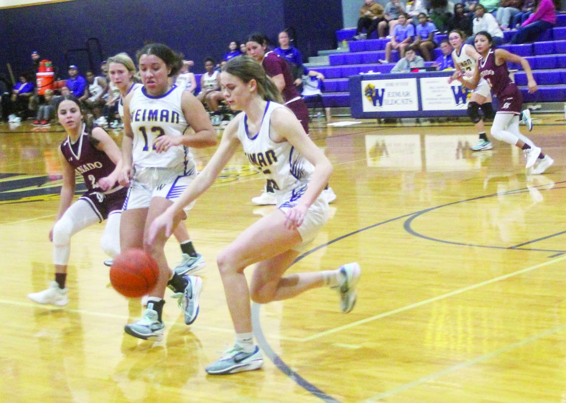 Ladycats win a nail biter against Ganado at home