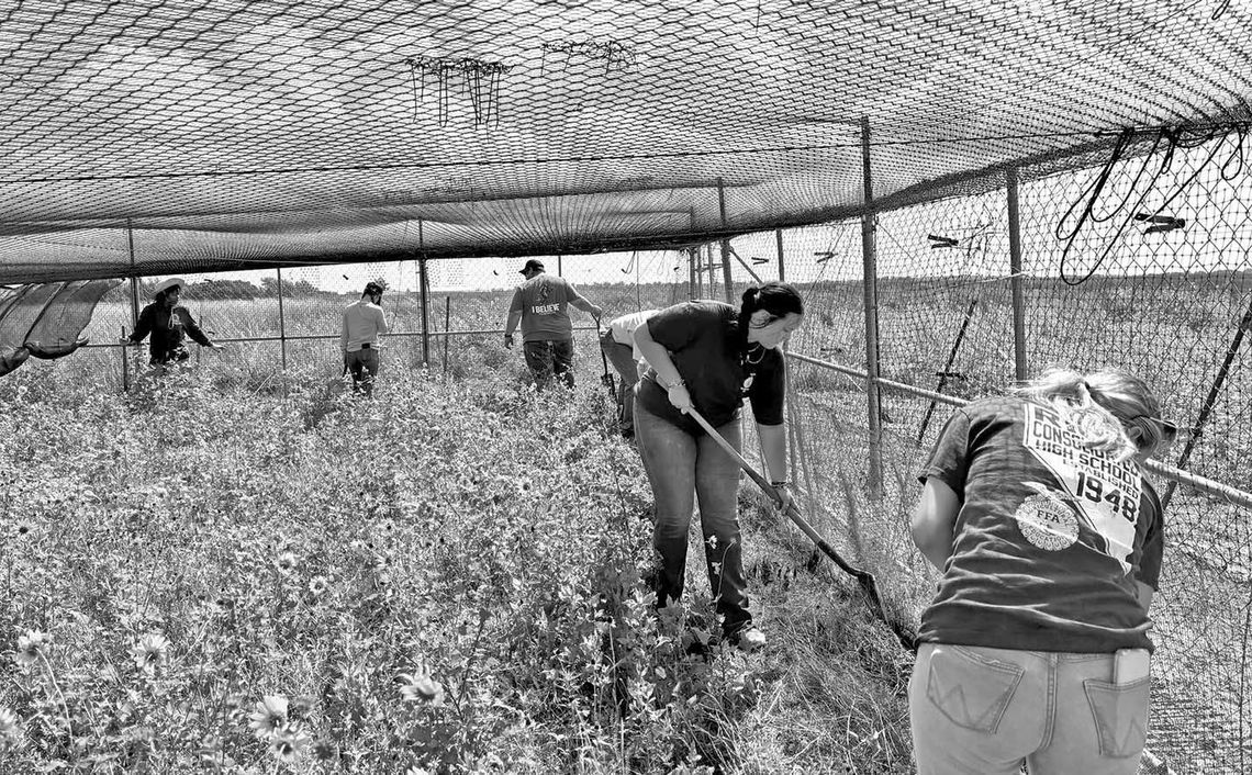 RICE STUDENTS LEND HELPING HANDS