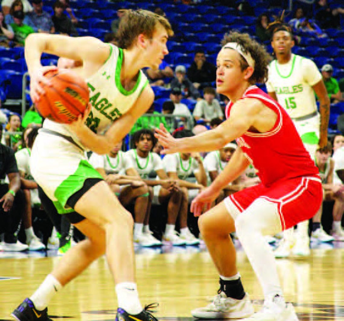 SET IN INK: A Year in Review for 2025