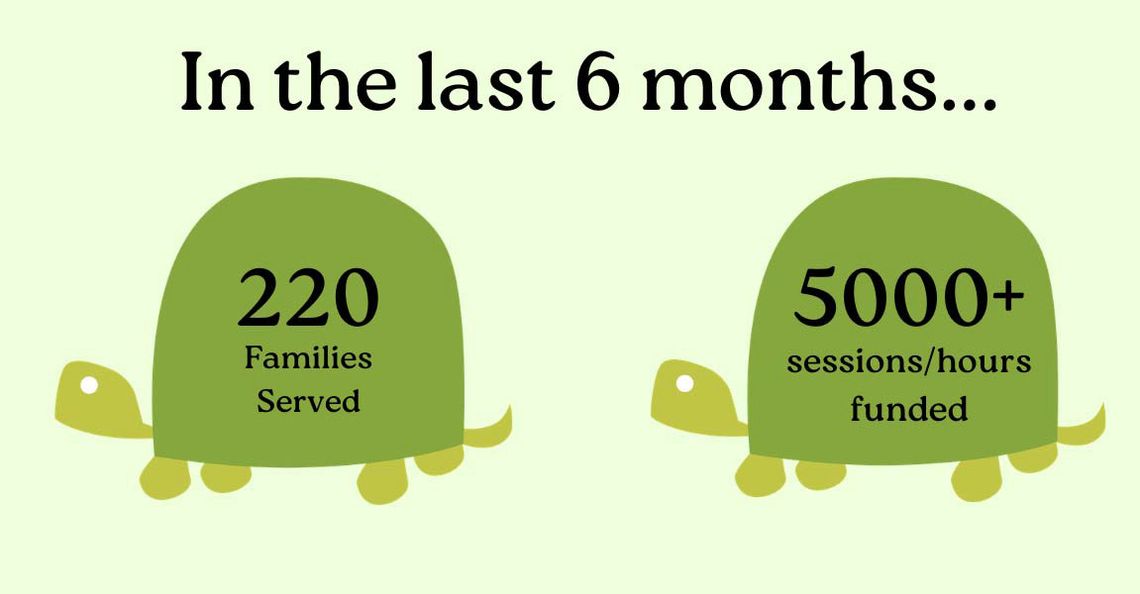 Six months into Turtle Wings 15th year