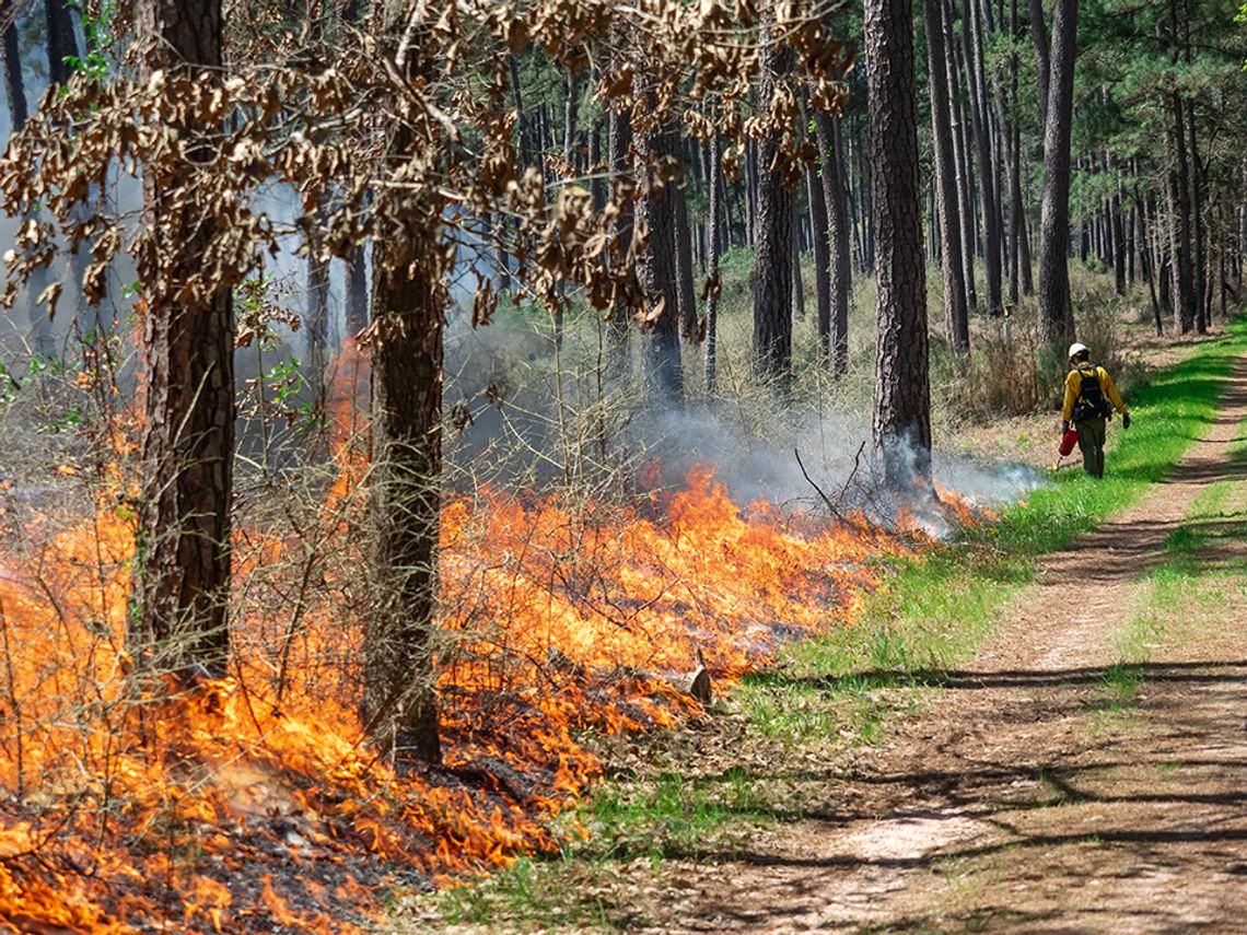 Texas A&M Forest Service helps strengthen landscapes with prescribed fire grants