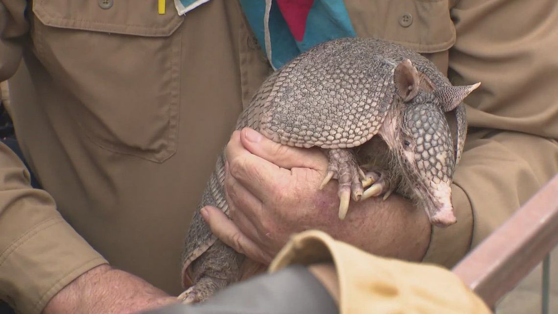 Texas animals forecast an end to winter on Groundhog Dog