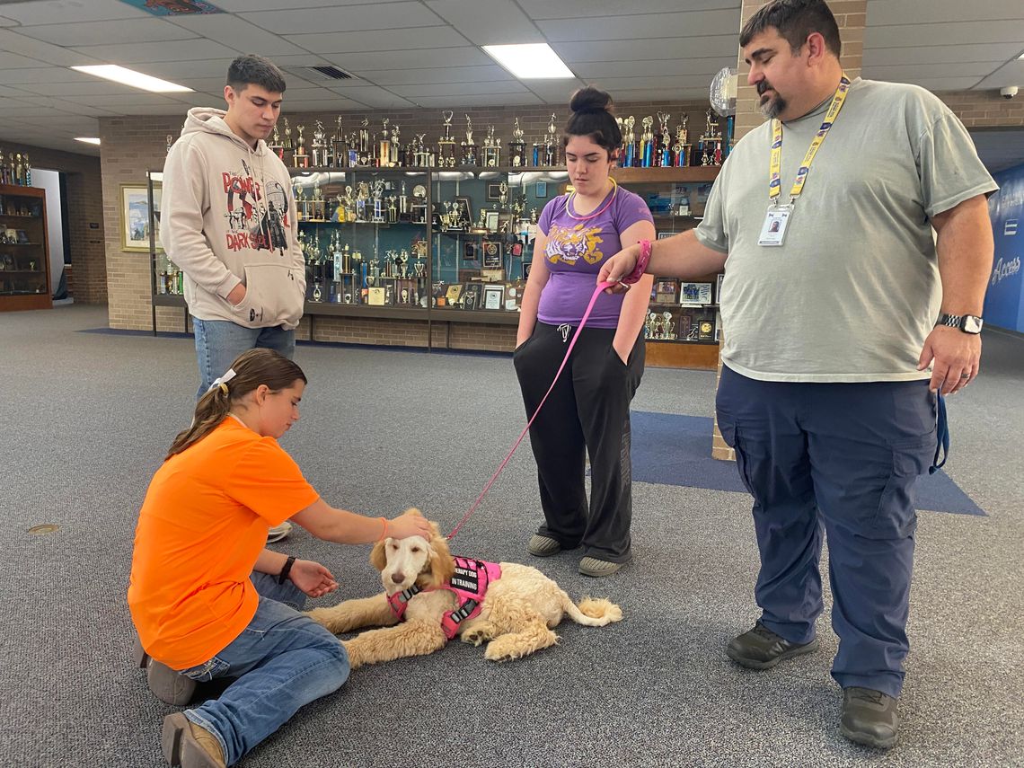 Therapy dog ‘Working 9 to 5’ at Rice HS Therapy dog ‘Working 9 to 5’ at Rice HS