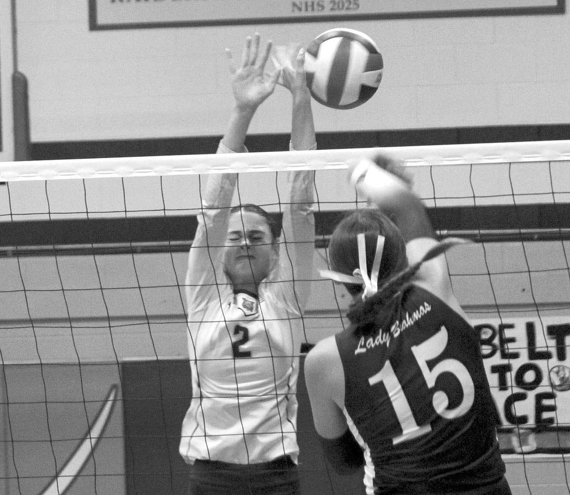Three wins in a row for the Ladycats