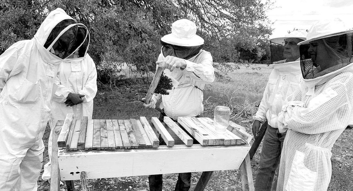 Top Bar beekeeping class