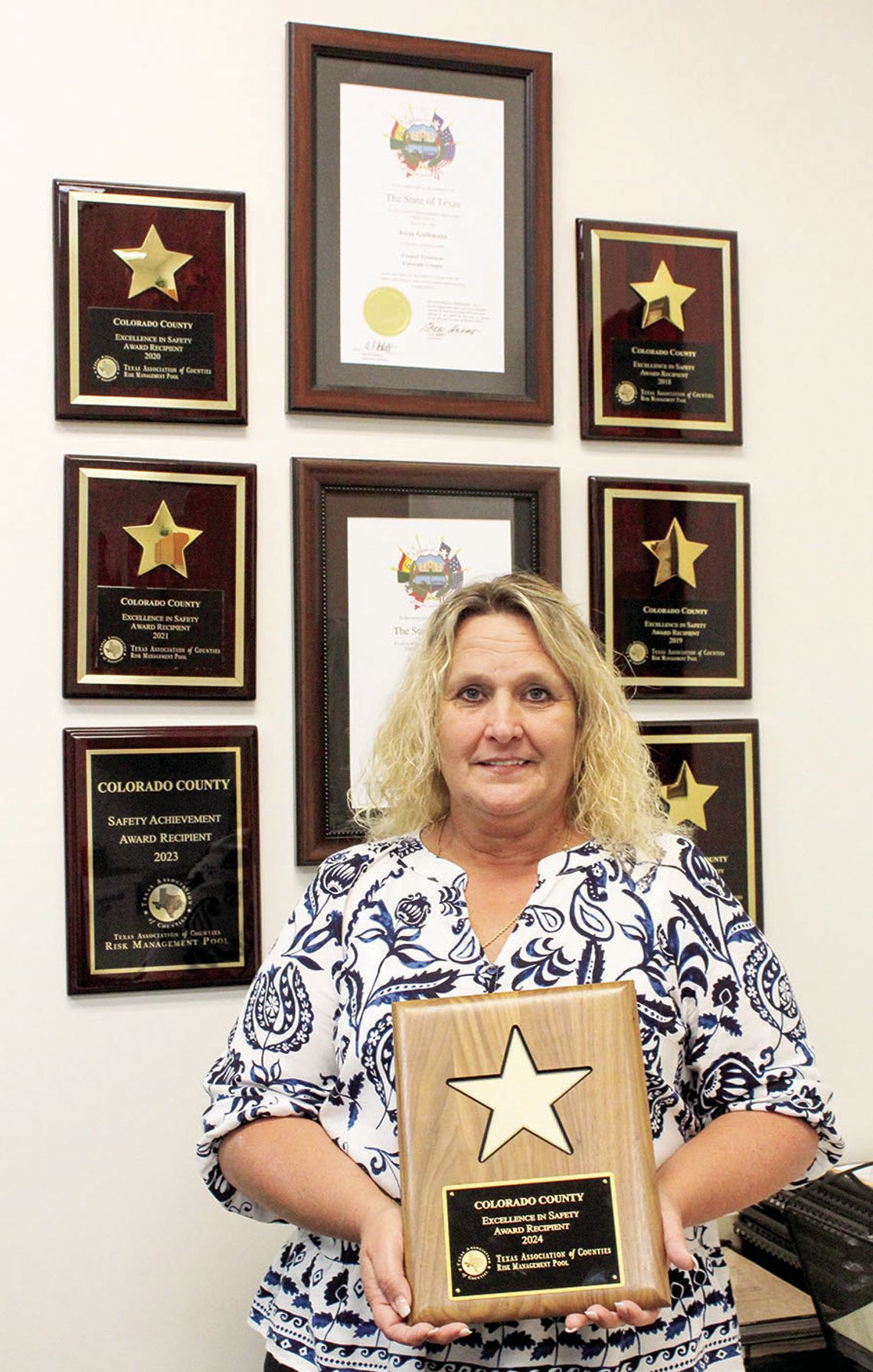 Treasurer wins 7th consecutive award for county