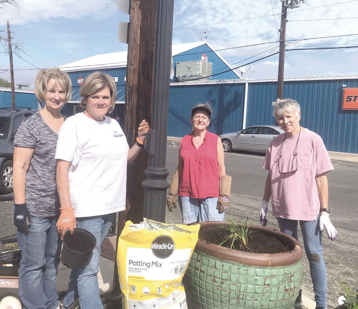 Weimar Garden Club plants cool weather flowers