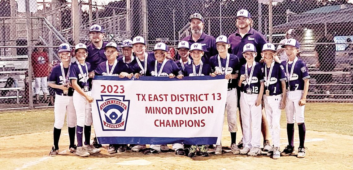 Weimar Little League competes well in sectional tournament