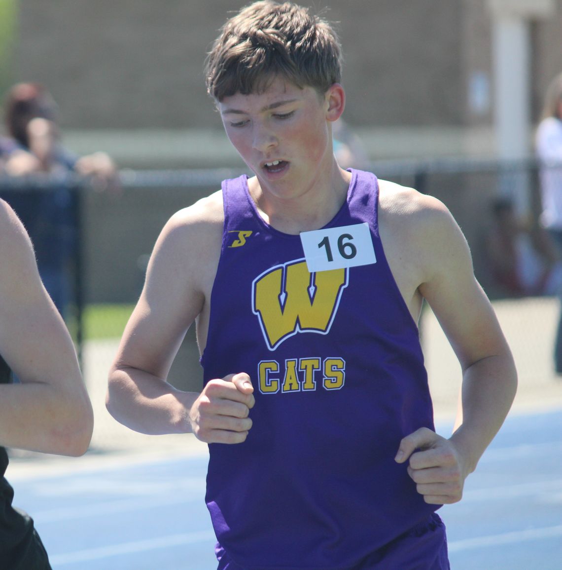 Weimar Swamp Relays results