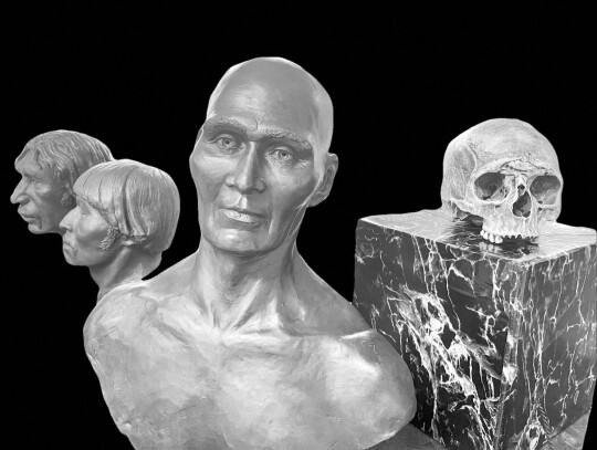 Amanda Danning sculpted busts of prehistoric skeletons. Courtesy photos