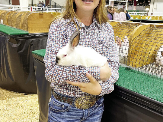 Fallen Wied, Youth Meat Pen Rabbit Competition.
