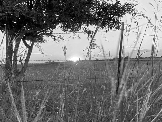 Taft Rodgers- Landscape and Nature category.