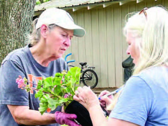 Successful plant sale: Brenda Wyman and Wanda Anglin writing name of plants on pots for sale