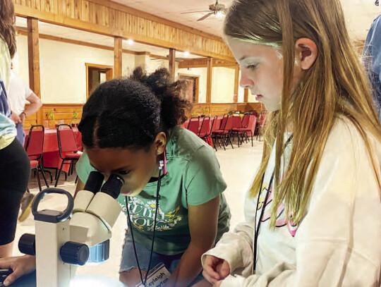 Keyleigh Crayton and Rhilyn Barten view butterfly with microscope. Courtesy | Cathy Dannemiller