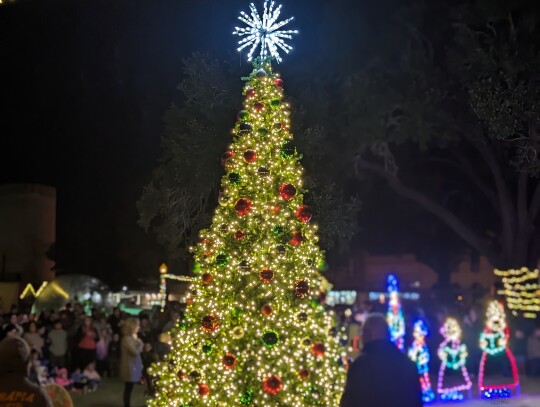 The centerpiece of the courtyard decorations, the Christmas tree, had its official lighting after a countdown.