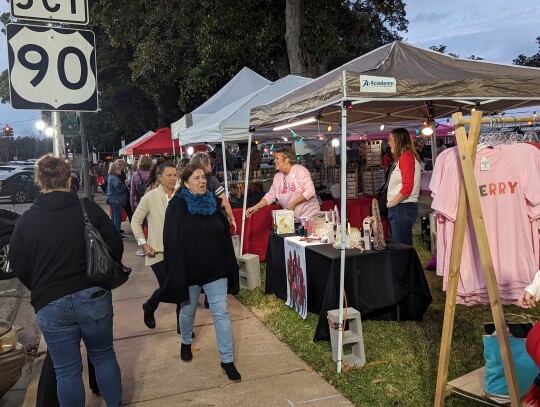 The event featured many different kiosks and booths for vendors. Citizen | Trenton Whiting