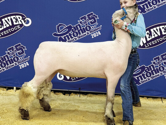 Kensi Berger showed a Finewool Cross Lamb during the Rodeo. Courtesy photo