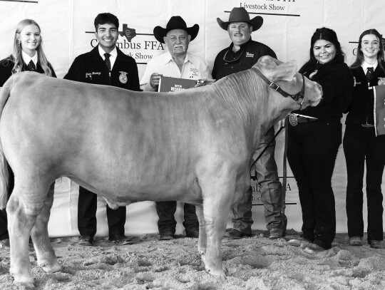 MARKET STEER Natalia Ramirez; Bought by Giddings Livestock for $4,600. Pictured with Alley Fitzgerald, Javier Mendoza, a representative of the Valenta Cattle Co., Todd Fritsch and Molly Garcia.